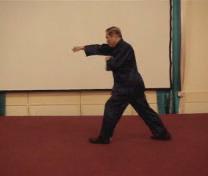 Wahnam Taijiquan