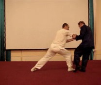 Wahnam Taijiquan