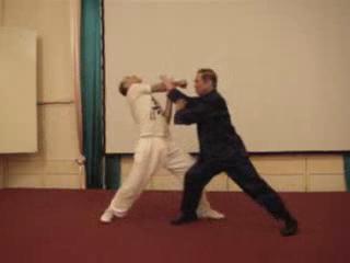 Wahnam Taijiquan