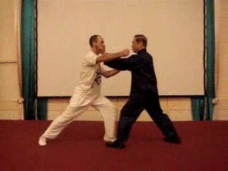 Wahnam Taijiquan