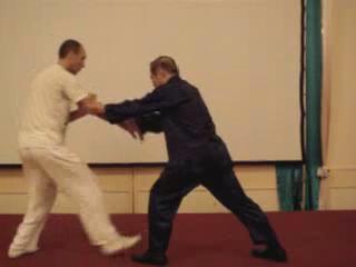 Wahnam Taijiquan