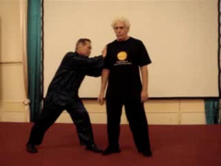 Wahnam Taijiquan