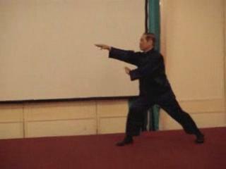 Wahnam Taijiquan