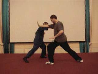 Wahnam Taijiquan Tai Chi Chuan