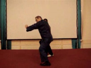 Wahnam Taijiquan