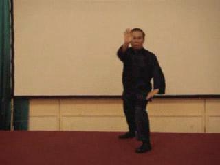 Wahnam Taijiquan