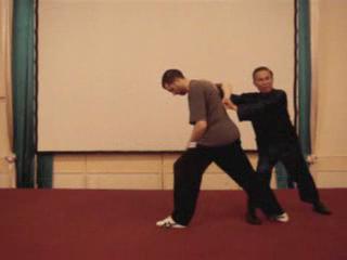 Wahnam Taijiquan