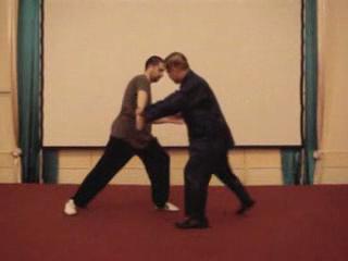 Wahnam Taijiquan