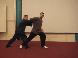 Wahnam Taijiquan