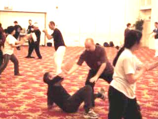 Wahnam Taijiquan