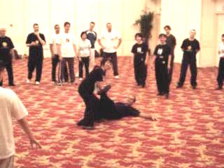 Wahnam Taijiquan Tai Chi Chuan