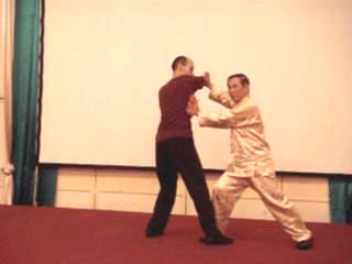 Wahnam Taijiquan