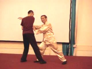 Wahnam Taijiquan