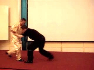 Wahnam Taijiquan