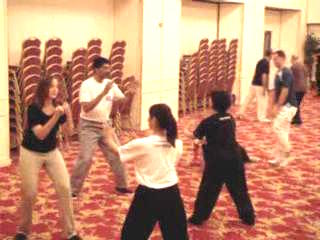 Wahnam Taijiquan