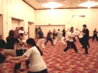 Wahnam Taijiquan