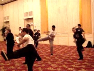 Wahnam Taijiquan