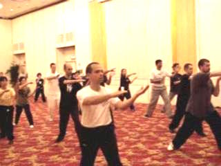 Wahnam Taijiquan, Tai Chi Chuan