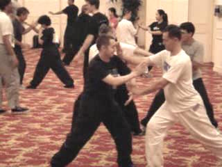 Wahnam Taijiquan