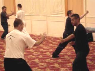 Wahnam Taijiquan