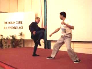 Wahnam Taijiquan