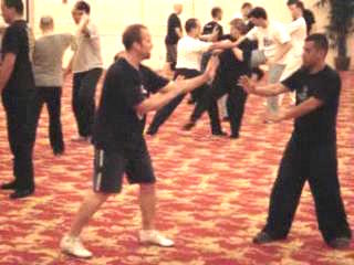 Wahnam Taijiquan