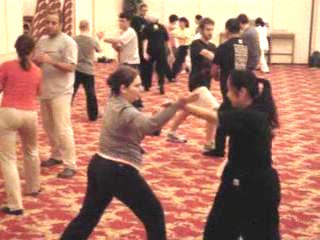 Wahnam Taijiquan