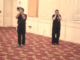 Wahnam Taijiquan