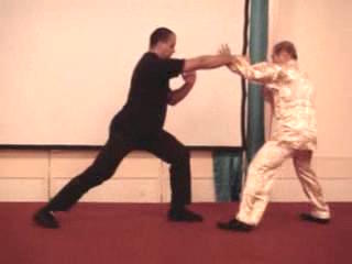 Wahnam Taijiquan