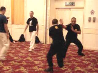 Wahnam Taijiquan