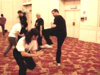 Wahnam Taijiquan