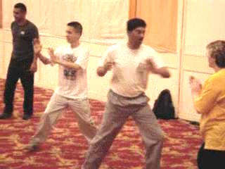 Wahnam Taijiquan