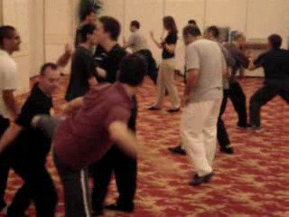 Wahnam Taijiquan