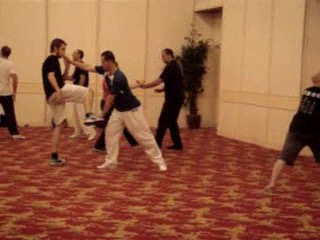 Wahnam Taijiquan