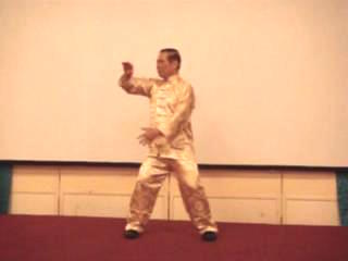 Taijiquan 12 Combat Sequences