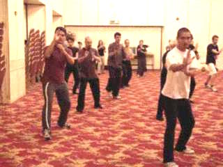 Wahnam Taijiquan