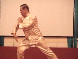 Wahnam Taijiquan