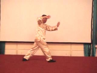 Wahnam Taijiquan