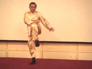 Wahnam Taijiquan