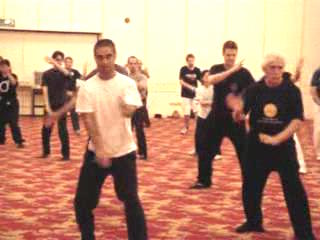 Wahnam Taijiquan, Tai Chi Chuan