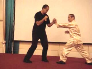 Wahnam Taijiquan