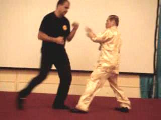 Wahnam Taijiquan