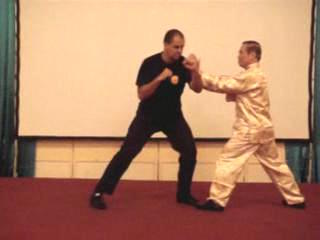 Wahnam Taijiquan, Tai Chi Chuan