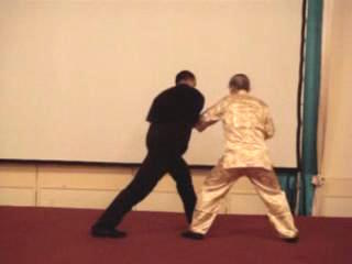 Wahnam Taijiquan