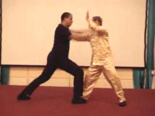 Wahnam Taijiquan