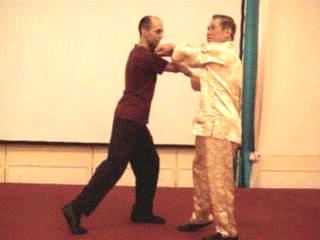 Wahnam Taijiquan