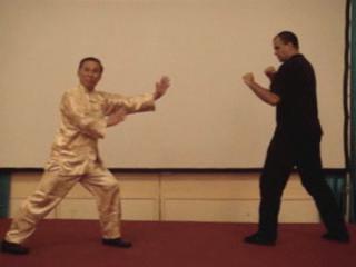 Wahnam Taijiquan