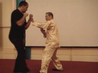 Wahnam Taijiquan