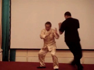 Wahnam Taijiquan