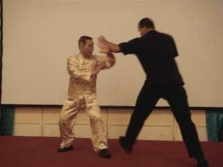 Wahnam Taijiquan